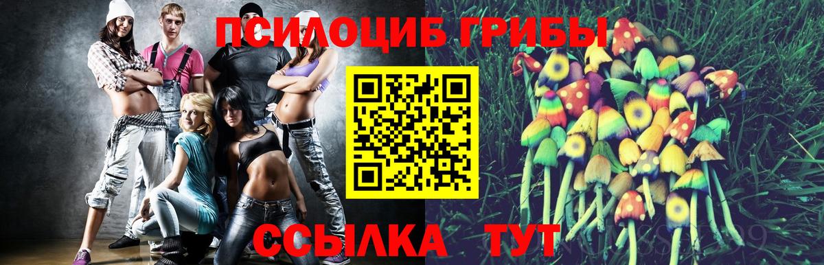Галлюциногенные грибы Psilocybine cubensis  Псилоцибиновые грибы Cubensis  Городец  Вход с VPN 